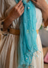 Celeste Embroidered Shimmer Scarf (10701263765697)
