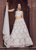 Pearl White Embroidered Net Lehenga
