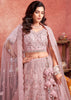 Blushing Pink Net Embroidered Bridal Lehenga