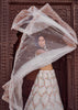 Pearl White Embroidered Net Lehenga
