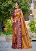 Pale Gold Dual Tone Woven Banarasi Silk Saree
