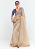 Silver Beige Designer Embroidered Tissue Saree