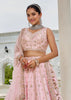 Light Pink Embroidered Designer Lehenga