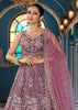Beige Embroidered Net Lehenga