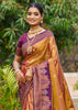 Pale Gold Dual Tone Woven Banarasi Silk Saree