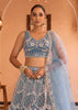 Teal Blue Embroidered Net Lehenga