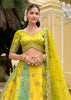 Golden Meadow Embroidered Lehenga