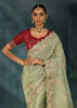 Pista Green Embroidered Designer Tissue Saree