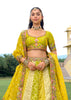 Lemon Green Embroidered Lehenga