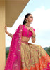 Rani Pink & Gold Embroidered Lehenga