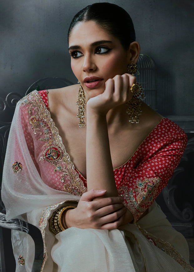 Lily White Embroidered Designer Saree