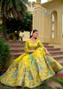 Golden Meadow Embroidered Lehenga