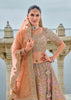 Tathastu - Anaara Bridal Wear-147 (10647182737601)