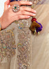 Silver Beige Designer Embroidered Tissue Saree