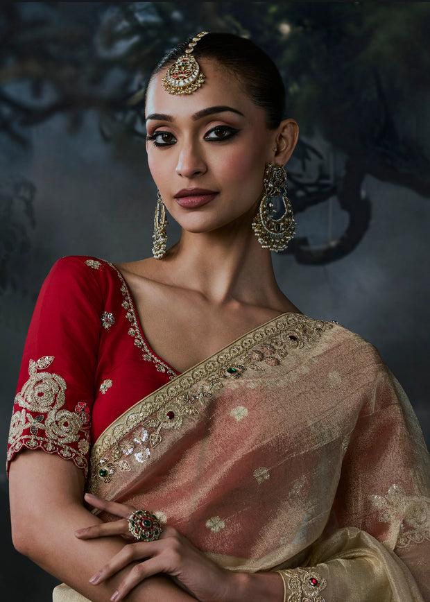 Sand Beige Embroidered Designer Saree