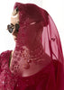 Beet Red Designer Organza Tissue Silk Saree