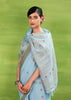 Angel Blue Woven Linen Silk Saree