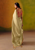 Golden Green Designer Embroidered Saree