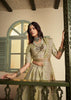 Pista Green Banarasi Designer Lehenga