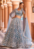 Teal Blue Embroidered Net Lehenga