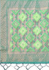 Pistachio Green Woven Cotton Linen Silk Saree