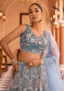 Teal Blue Embroidered Net Lehenga