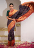 Inaya : Blue Ikat Patan Patola Banarasi Saree with Brocade Border
